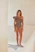 Tucan One Piece / Jaguar Print - Brown